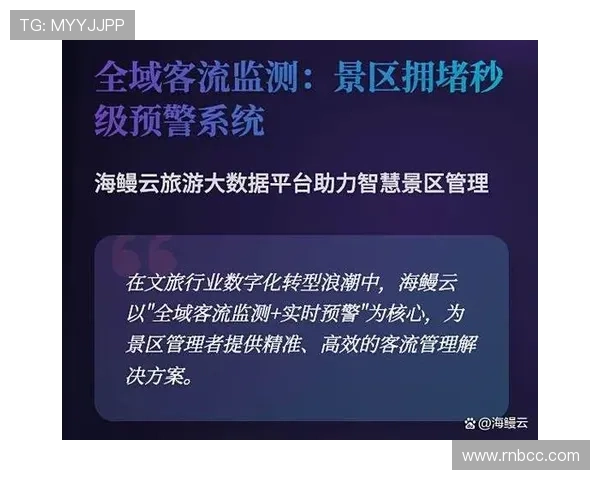 开云平台：实现品牌数据统一管理与分析的数字化工具